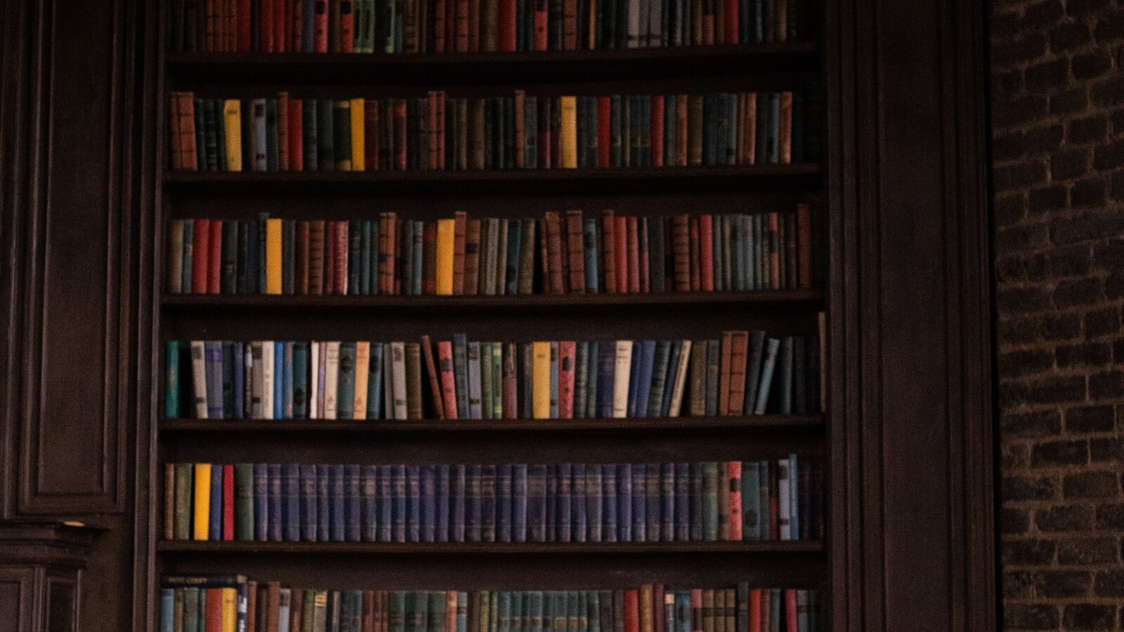 Shelves of legal reference books